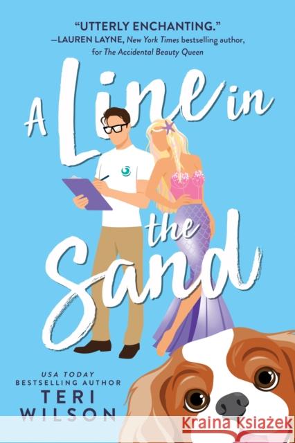 A Line in the Sand Teri Wilson 9781728214825 Sourcebooks, Inc