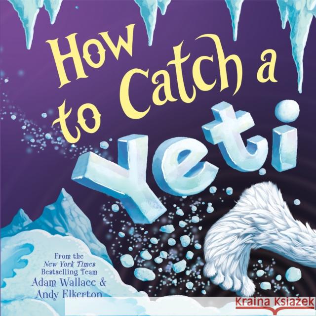 How to Catch a Yeti Adam Wallace Andy Elkerton 9781728216744 Sourcebooks Wonderland