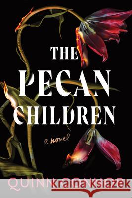 The Pecan Children Quinn Connor 9781728263908 Sourcebooks Landmark
