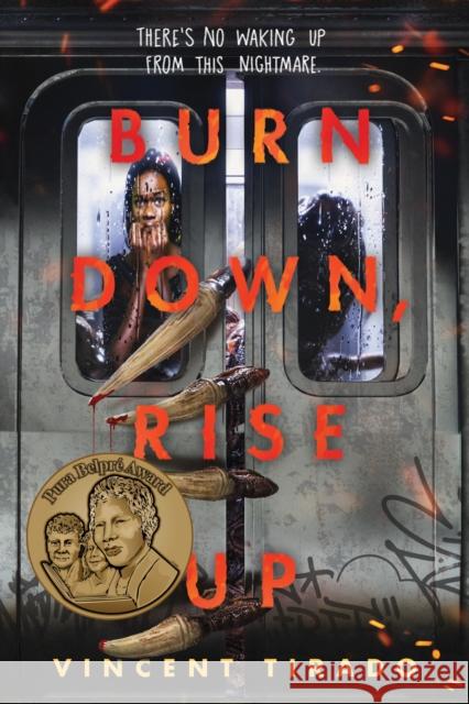 Burn Down, Rise Up Vincent Tirado 9781728268644 Sourcebooks, Inc