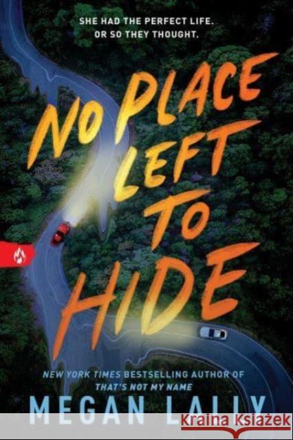 No Place Left to Hide Megan Lally 9781728270142 Sourcebooks Fire