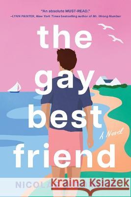 The Gay Best Friend Nicolas Didomizio 9781728270296 Sourcebooks Casablanca