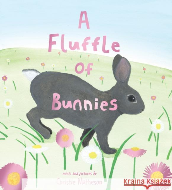 A Fluffle of Bunnies Christie Matheson 9781728272108 Sourcebooks Jabberwocky