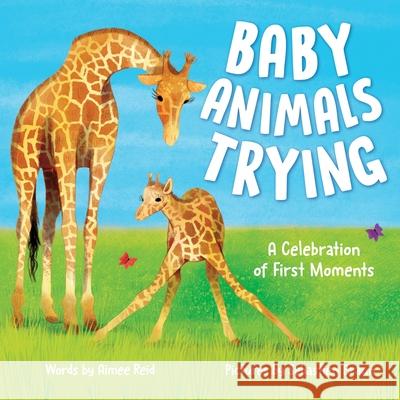 Baby Animals Trying: A Celebration of First Moments Aimee Reid 9781728275437 Sourcebooks, Inc