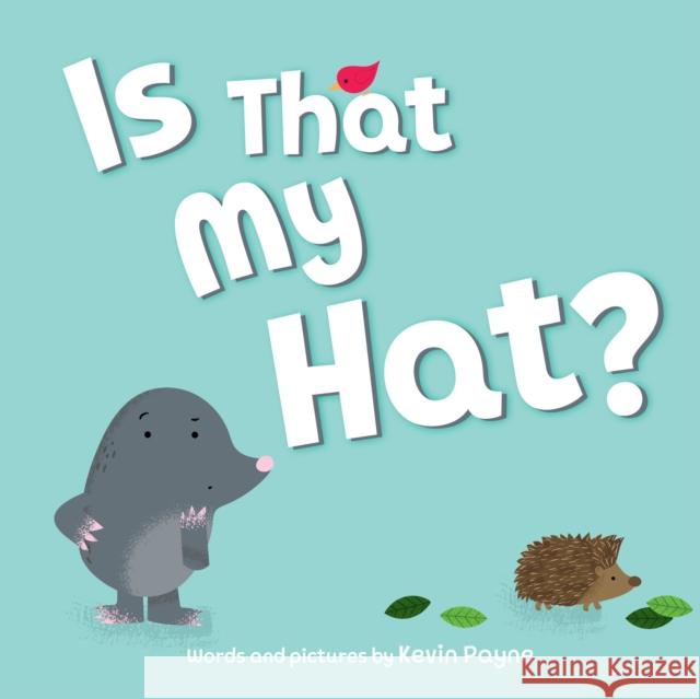 Is That My Hat? Kevin Payne 9781728277981 Sourcebooks Jabberwocky