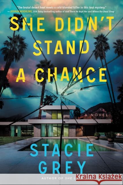 She Didn't Stand a Chance Stacie Grey 9781728292953