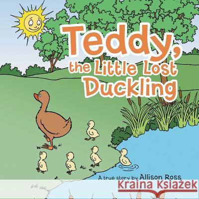Teddy, the Little Lost Duckling Allison Ross 9781728314266