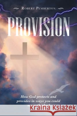 Provision: How God Protects and Provides in Ways You Could Never Think Of Robert Pemberton 9781728366586