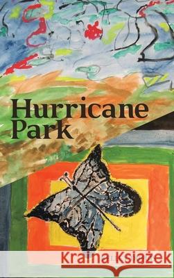 Hurricane Park Kelley Dupuis 9781728366791