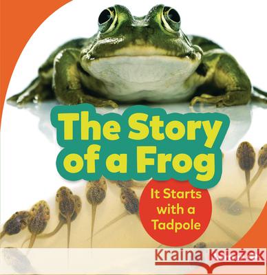 The Story of a Frog: It Starts with a Tadpole Shannon Zemlicka 9781728414348 Lerner Publications (Tm)