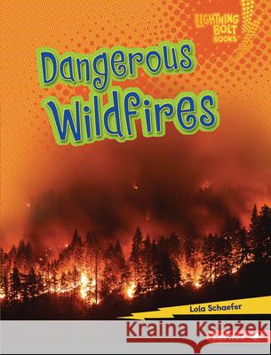 Dangerous Wildfires Lola Schaefer 9781728441412 Lerner Publications (Tm)