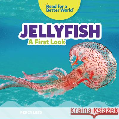 Jellyfish: A First Look Percy Leed 9781728459127 Lerner Publications (Tm)