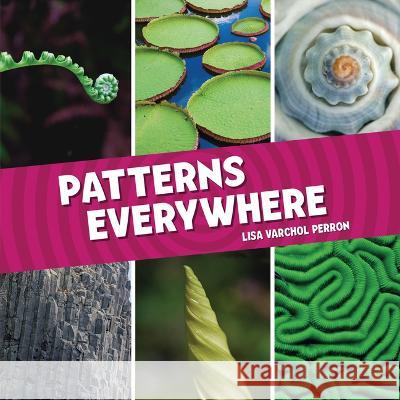 Patterns Everywhere Lisa Varchol Perron 9781728460420 Lerner Publishing Group