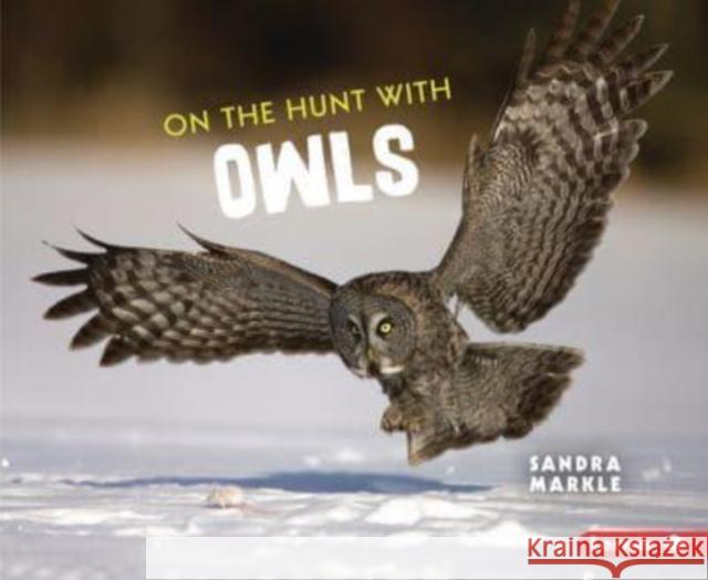 On the Hunt with Owls Sandra Markle 9781728464428 Lerner Publications (Tm)