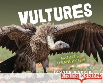 Vultures: Nature\'s Cleanup Crew Sandra Markle 9781728476704 Lerner Publications