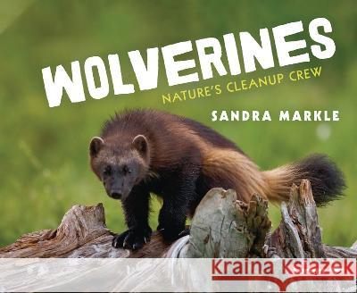 Wolverines: Nature's Cleanup Crew Sandra Markle 9781728476711