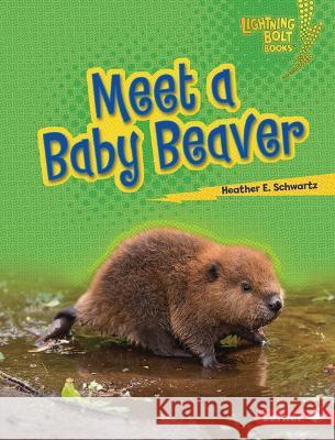 Meet a Baby Beaver Heather E. Schwartz 9781728491066