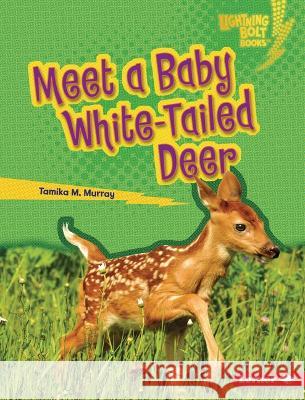 Meet a Baby White-Tailed Deer Tamika M. Murray 9781728491073 Lerner Publishing Group