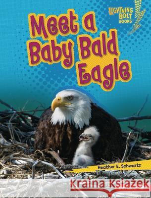 Meet a Baby Bald Eagle Heather E. Schwartz 9781728491080