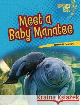 Meet a Baby Manatee Tamika M. Murray 9781728491097 Lerner Publications