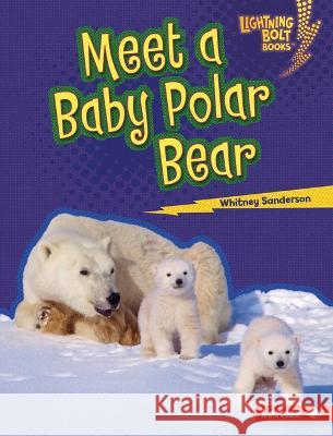 Meet a Baby Polar Bear Whitney Sanderson 9781728491103 Lerner Publishing Group