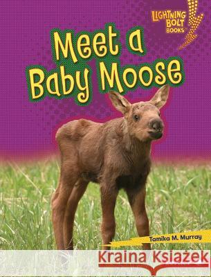 Meet a Baby Moose Tamika M. Murray 9781728491134 Lerner Publishing Group