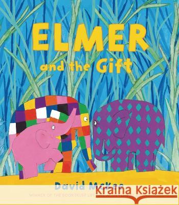 Elmer and the Gift David McKee David McKee 9781728492056 Andersen Press