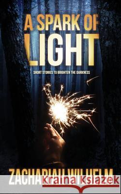 A Spark of Light: Short Stories to Brighten the Darkness Jenneth Dyck Zachariah Wilhelm 9781728626659 Independently Published