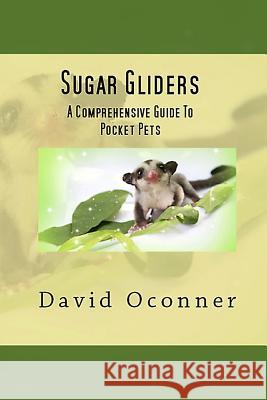 Sugar Gliders David Oconner 9781728953588 Independently Published