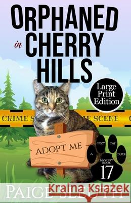 Orphaned in Cherry Hills Paige Sleuth 9781729094747 Independently Published