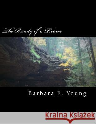 The Beauty of a Picture: A collection of my photography Young, Barbara E. 9781729545744