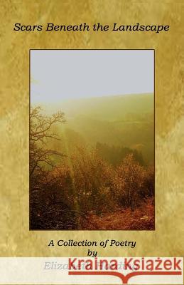 Scars Beneath the Landscape Elizabeth Harding 9781729743010 Createspace Independent Publishing Platform