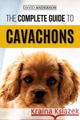 The Complete Guide to Cavachons: Choosing, Training, Teaching, Feeding, and Loving Your Cavachon Dog David Anderson 9781731042743 Independently Published