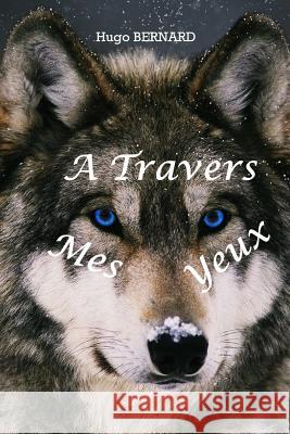 A Travers Mes Yeux Hugo Bernard 9781731279347 Independently Published