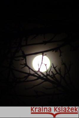 Wanderer Wandering Whispers 9781731586674 Independently Published