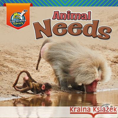 Animal Needs Lisa Amstutz 9781731613141
