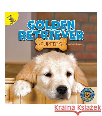 Golden Retriever Puppies Hailey Scragg 9781731628541