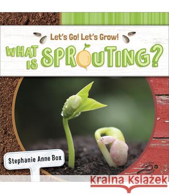 What Is Sprouting? Stephanie Anne Box 9781731652232