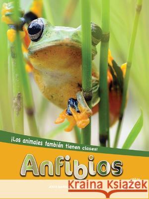 Anfibios: Amphibians Jodie Mangor 9781731654564 Discovery Library