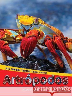 Artrópodos: Arthropods Cocca, Lisa Colozza 9781731654595 Discovery Library