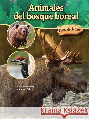 Animales del Bosque Boreal: Boreal Forest Animals Lisa Colozza Cocca 9781731654601 Bridges