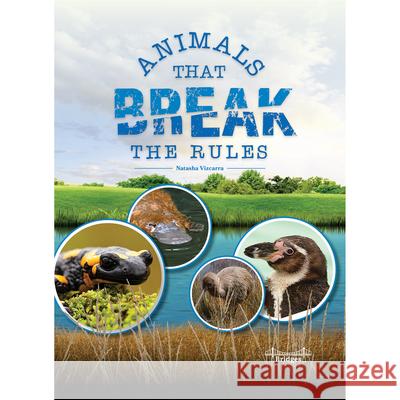 Animals That Break the Rules Vizcarra 9781731658081 Bridges