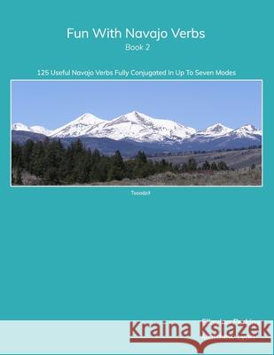 Fun With Navajo Verbs Book 2: 125 Useful Navajo Verbs Fully Conjugated in Up to Seven Modes Matthew Lyon David Herrera Scott Schaffer 9781732176218