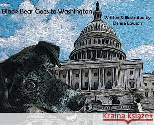 Black Bear Goes to Washington Denise a. Lawson Denise A. Lawson 9781732230316 Brown and Lowe Books