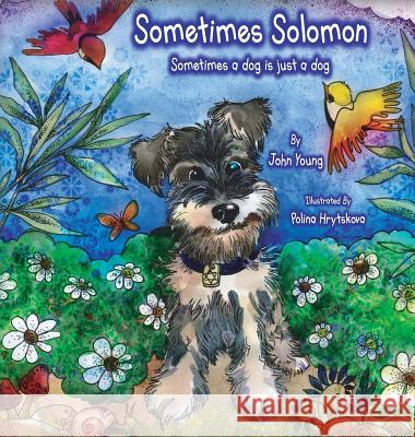 Sometimes Solomon: Sometimes a dog is just a dog Young, John O. 9781732232730 Cornerstone Management, LLC.