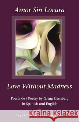 Amor Sin Locura Love Without Madness Gregg Eisenberg 9781732296961 Eisenberg Energy