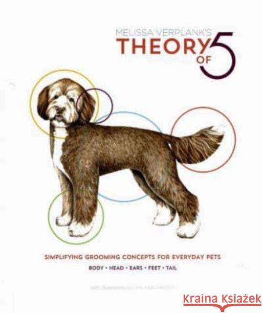 Theory Of 5 Melissa Verplank 9781732379718 First Stone Publishing