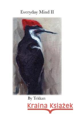 Everyday Mind II Tekkan 9781732410718 Laura Paulisich