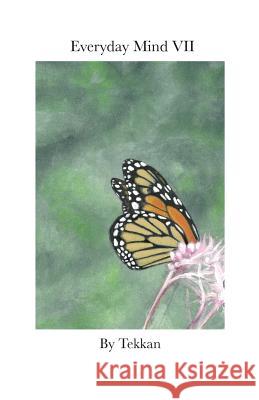 Everyday Mind VII Tekkan 9781732410763 Laura Paulisich