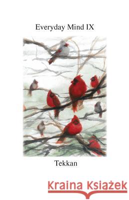 Everyday Mind IX Tekkan   9781732410794 Laura Paulisich